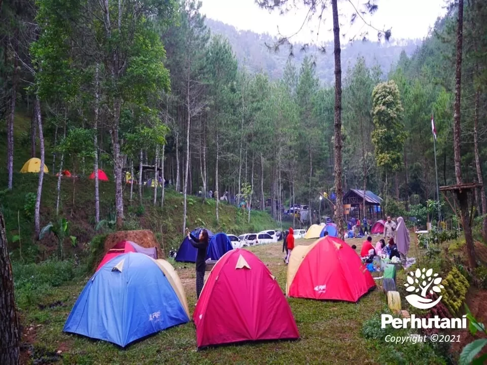 Foto-Pleseran-1-2626148855